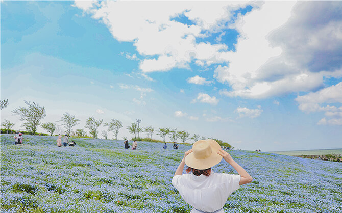 女性と花畑の写真