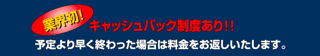 素行調査