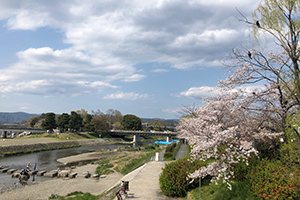 京都府京都市の別れさせ工作事例